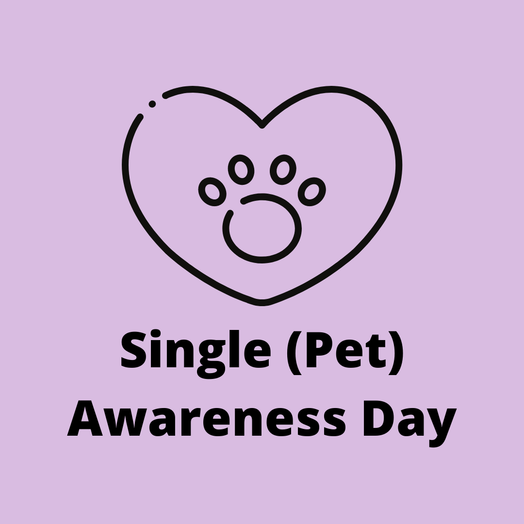Single (Pet) Awareness Day Copper Country Humane Society